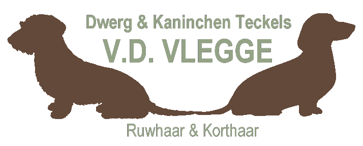 Kennel v.d. Vlegge
